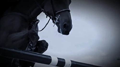 世界の馬術競技～FEI Equestrian World～